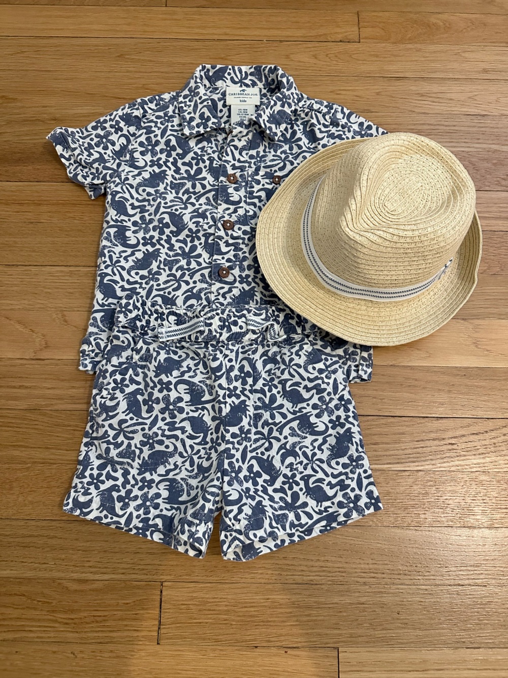 Boys Hawaiian Shirt, Short, Hat Set with Dinosaur Print